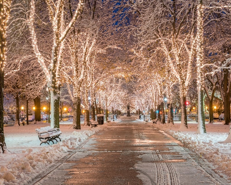 Boston Common Tree Lighting